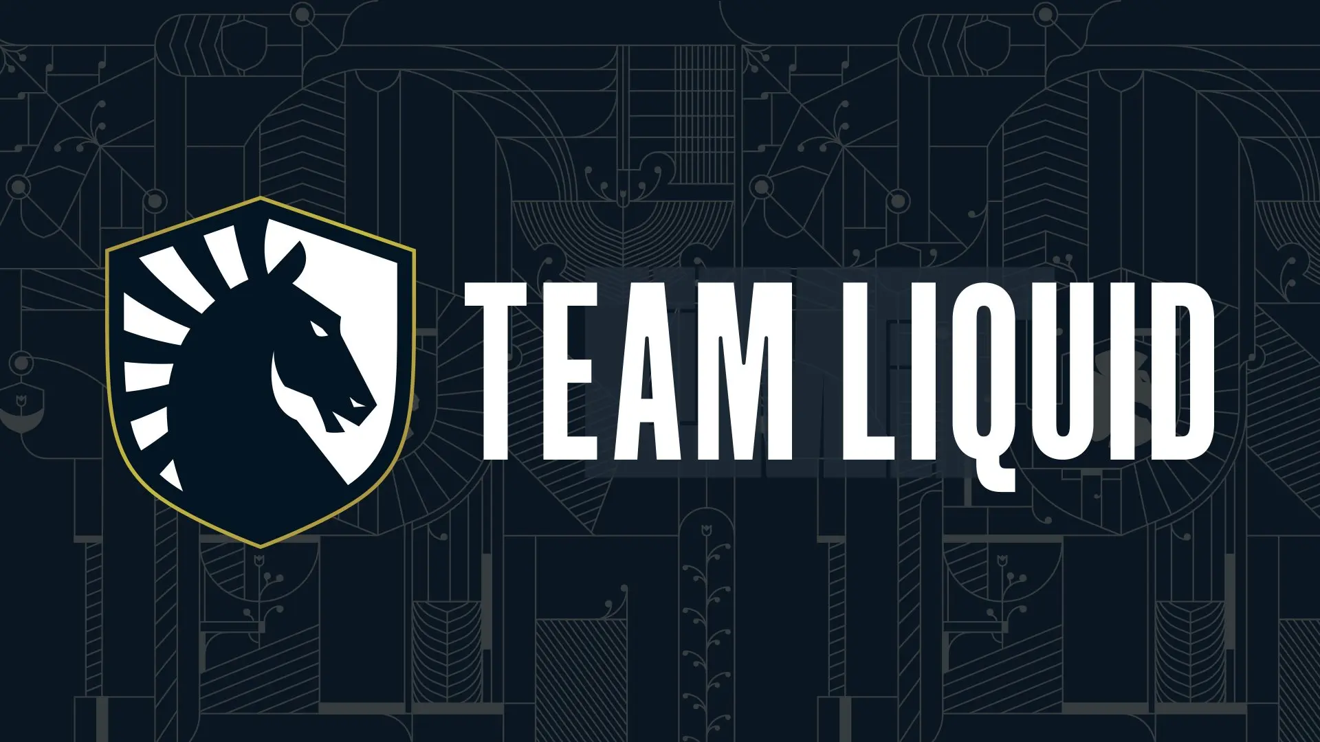 Team Liquid Alienware!