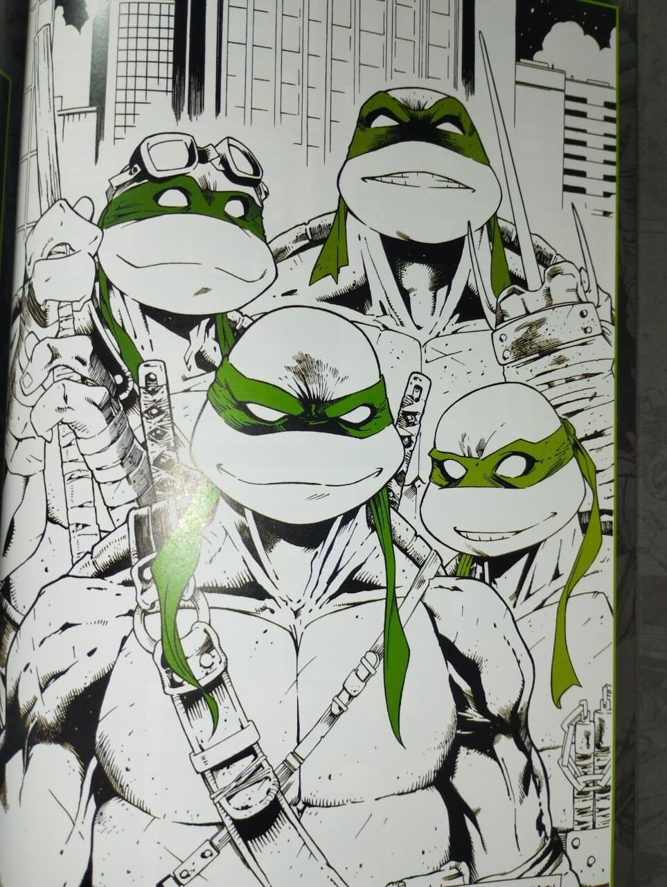 Tartarugas Ninja Preto Branco & Verde Tartarugas Ninja Preto Branco & Verde