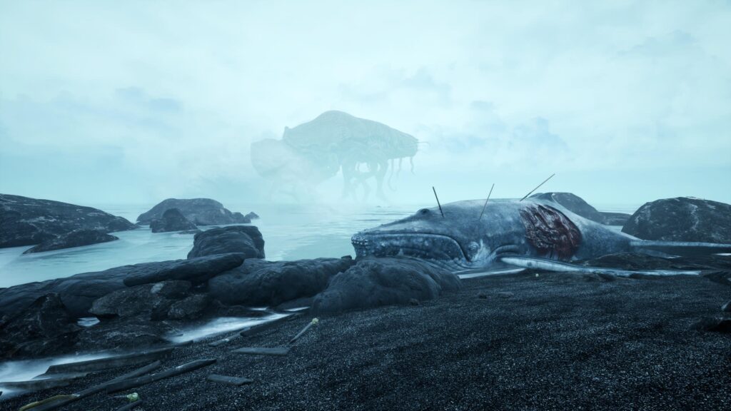 The Shore