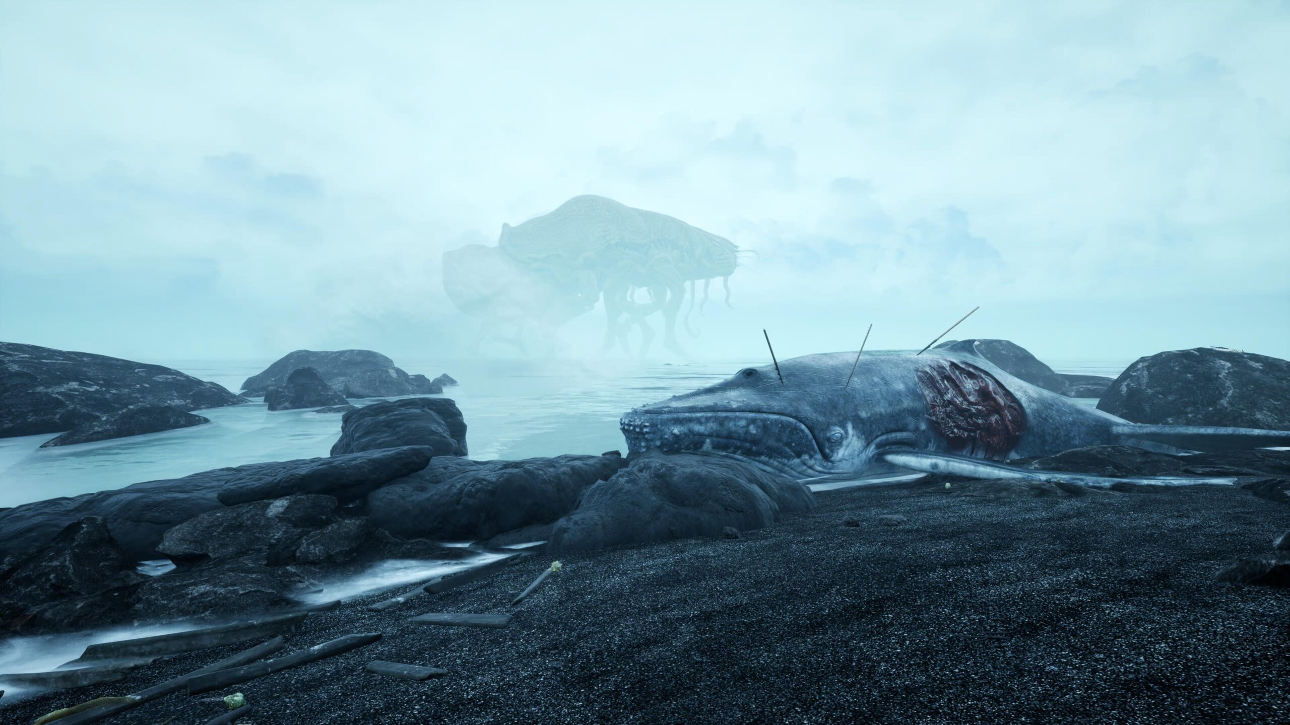 The Shore
