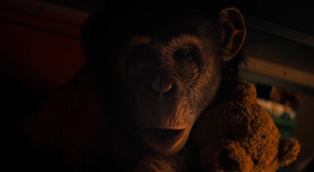 REVIEW | PRIMATE