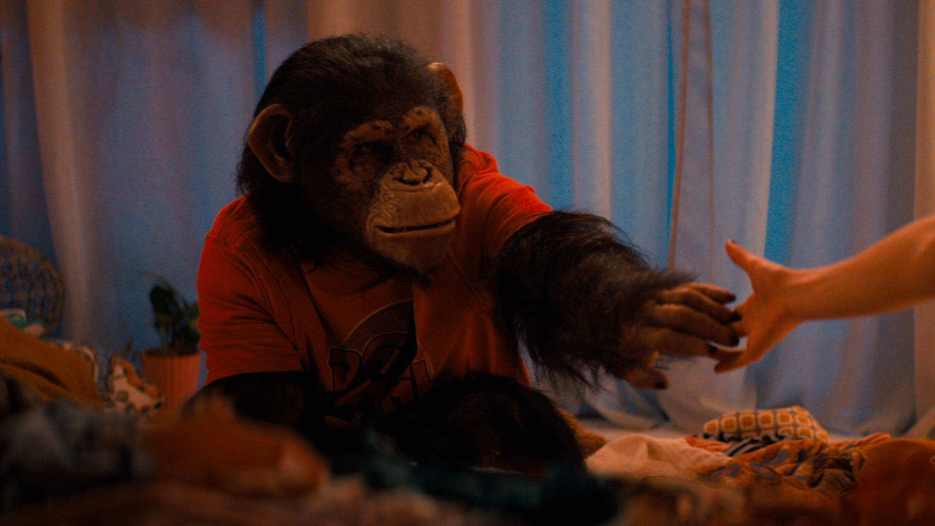REVIEW | PRIMATE REVIEW | PRIMATE
