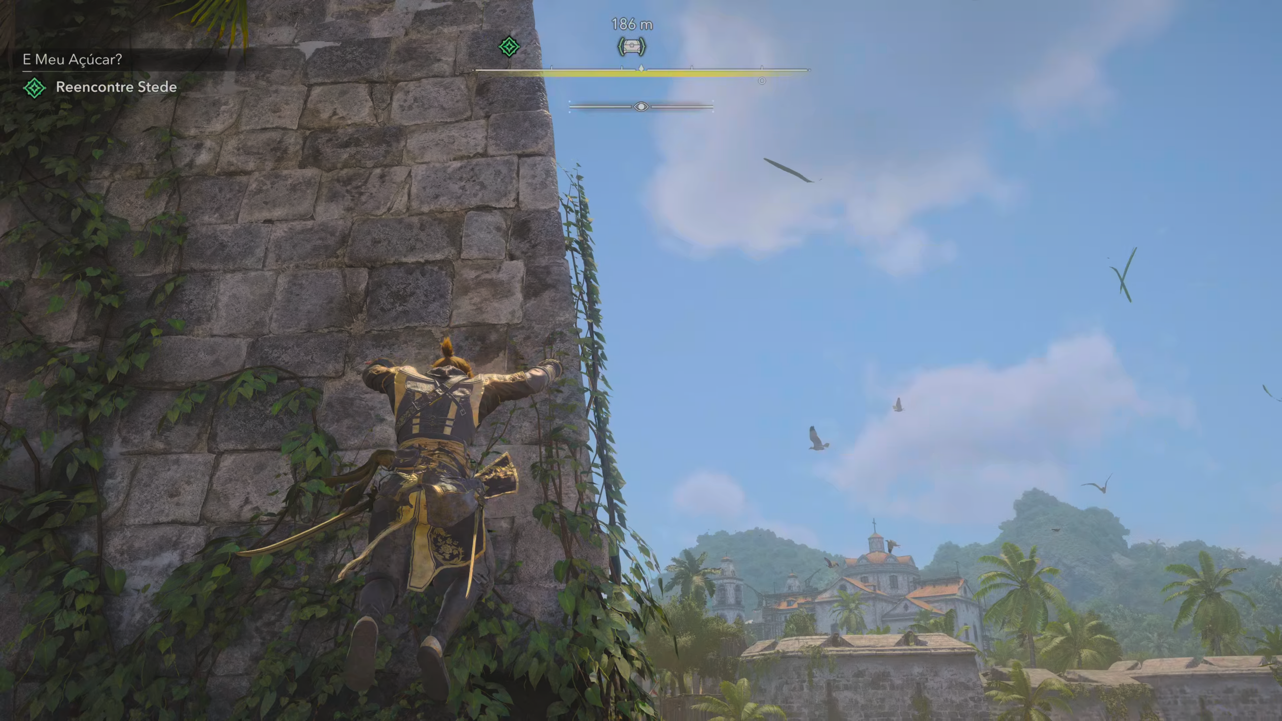 Assassin's Creed Black Flag Resynced