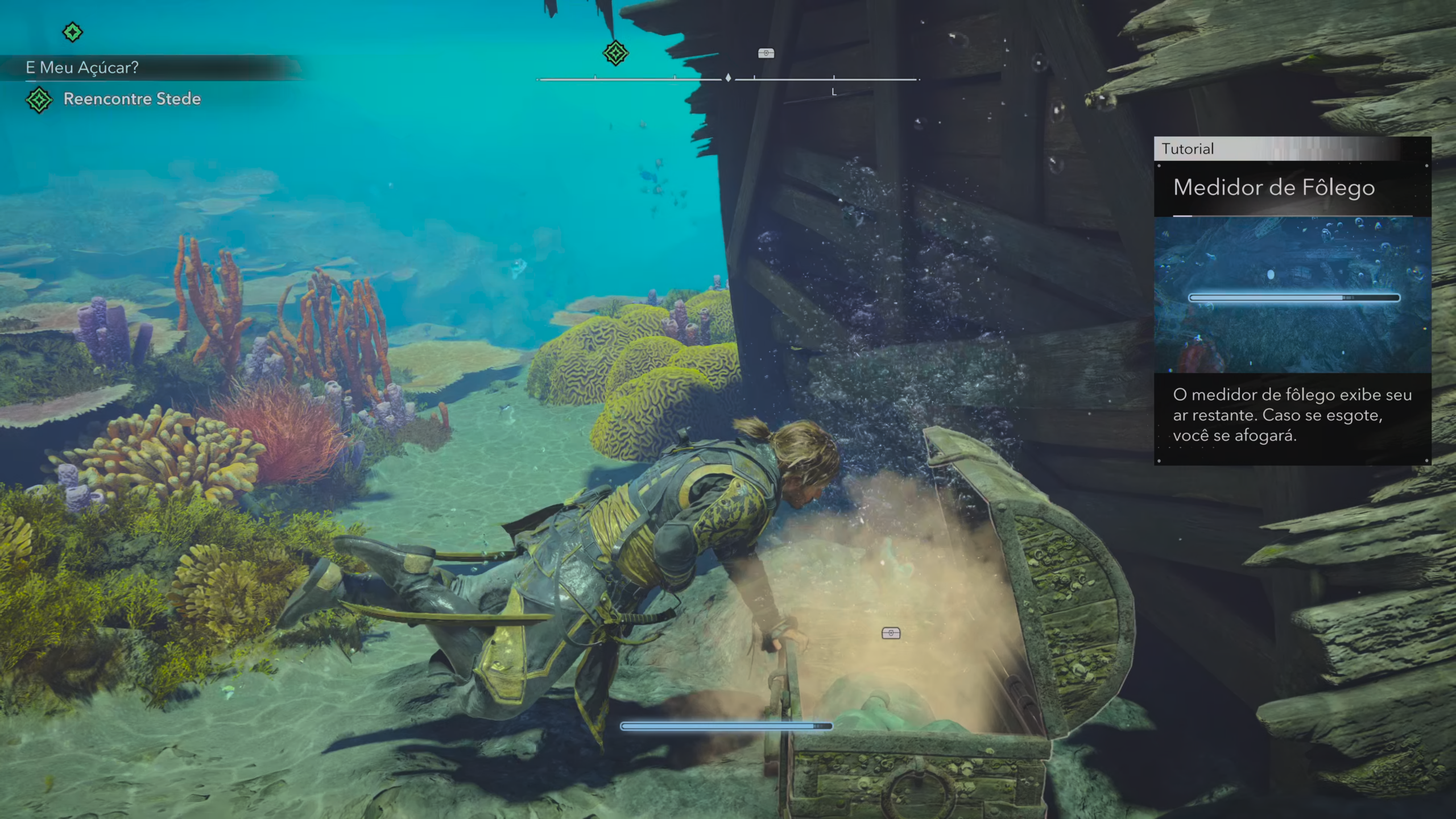Assassin's Creed Black Flag Resynced