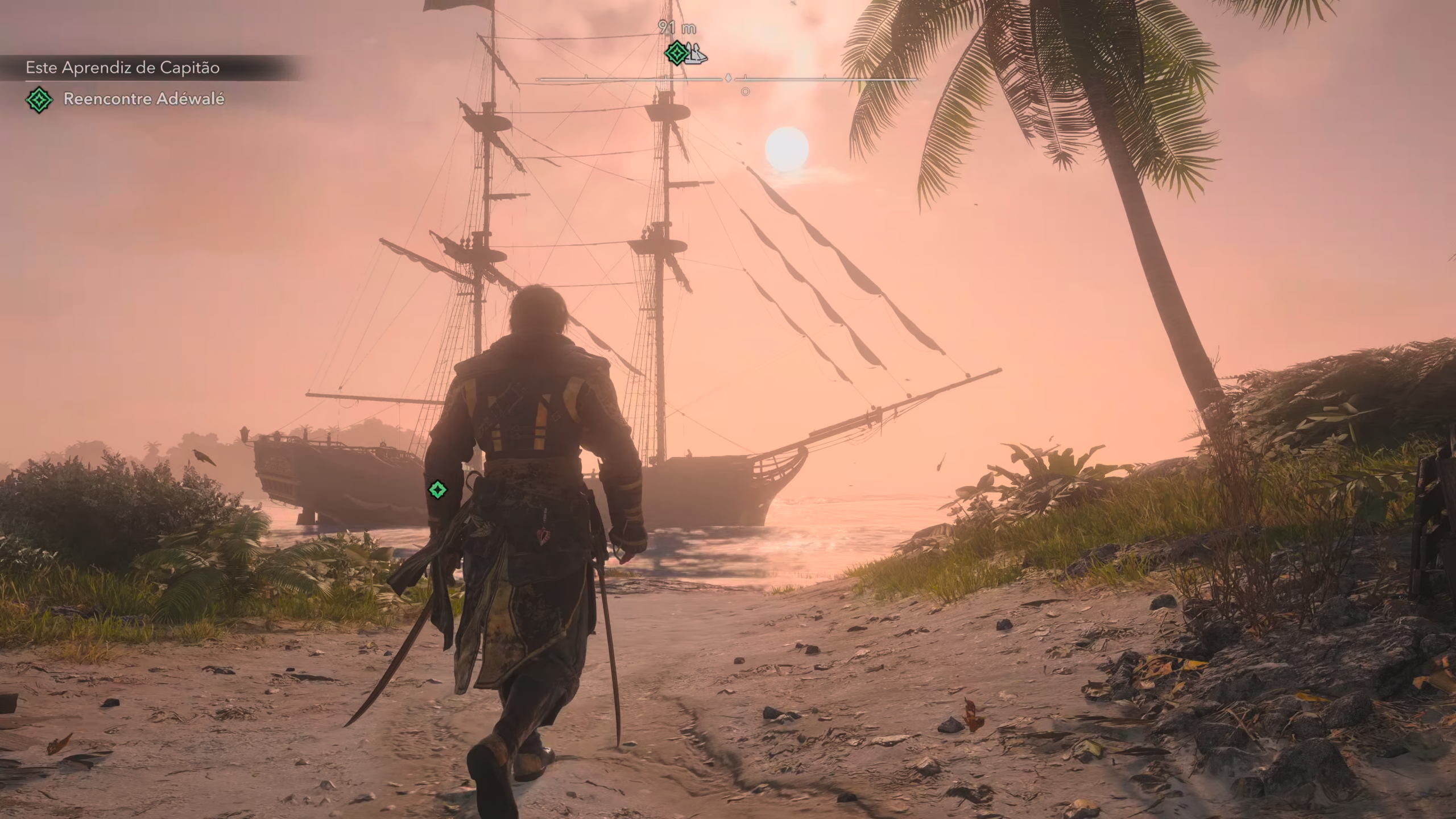 Assassin's Creed Black Flag Resynced