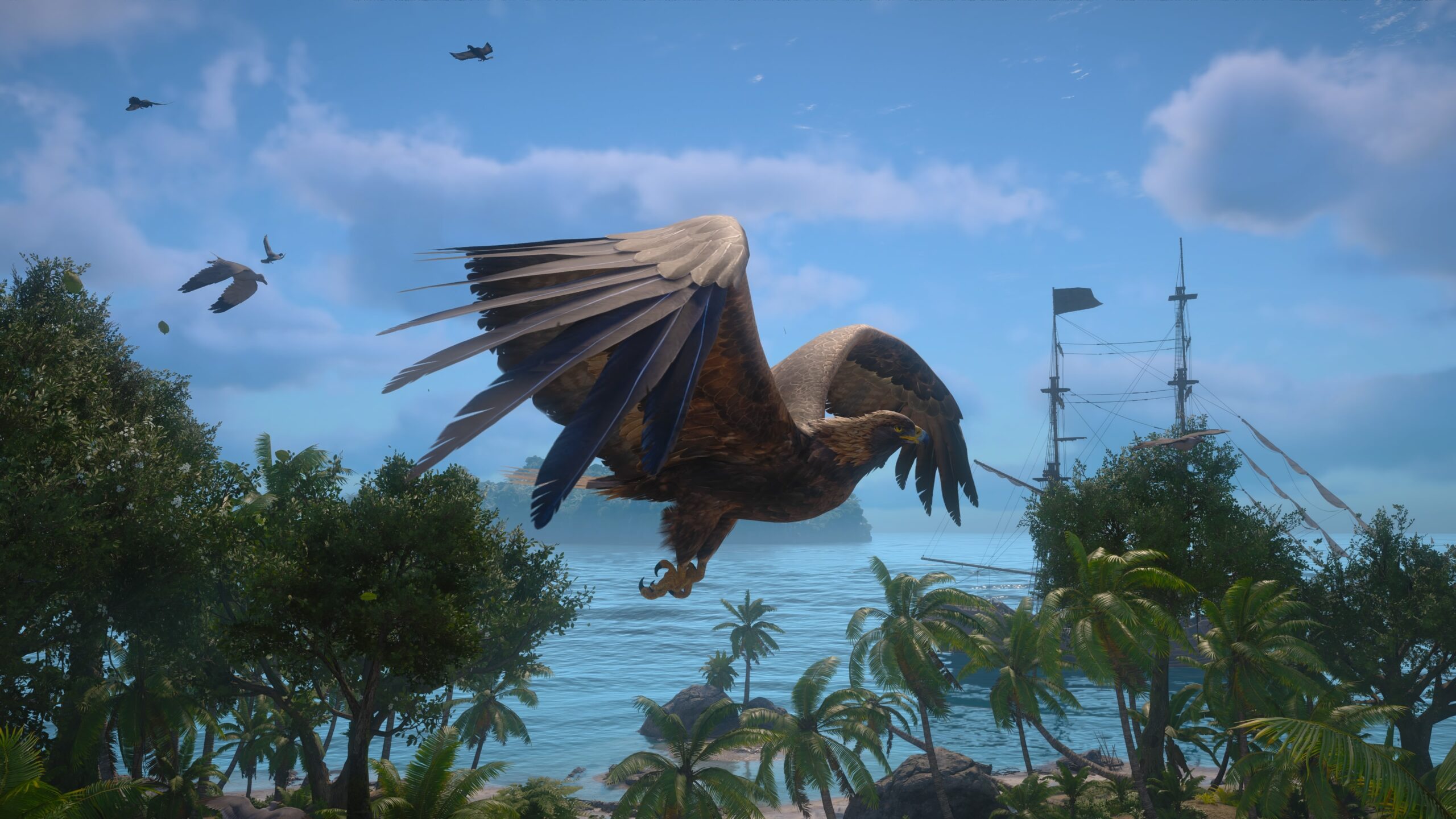 Assassin's Creed Black Flag Resynced