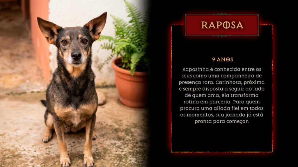 Diablo Immortal celebra a chegada do Bruxo com apoio a ONG brasileira para incentivar a adoção responsável Diablo