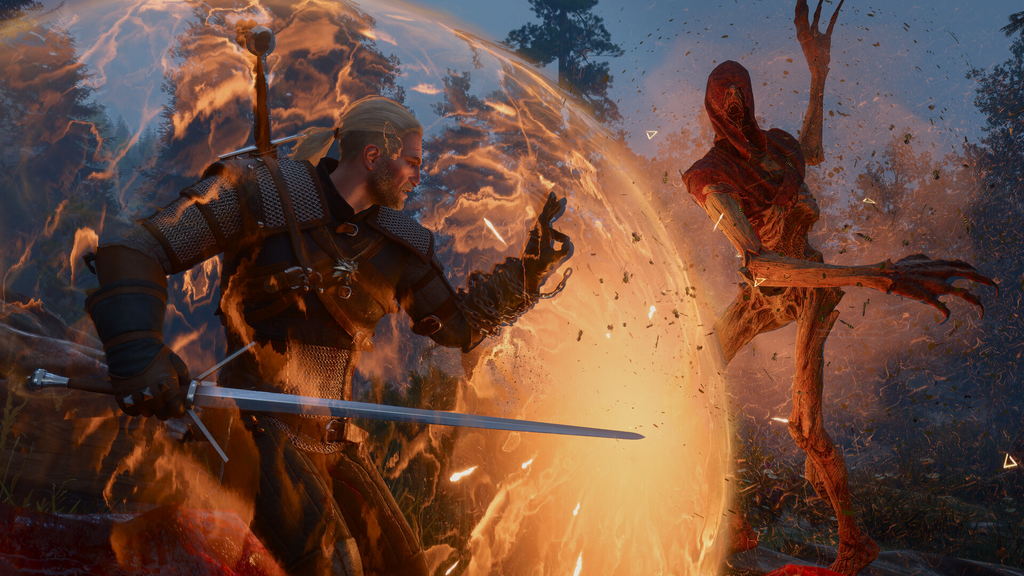 The Witcher